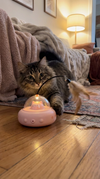 PurrInstinct™ Smart UFO Cat Toy